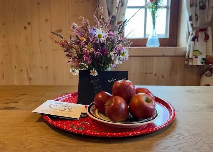 아파트 Alpin Charme Apartments 3 X Boutique Alpine Living 키츠부헬